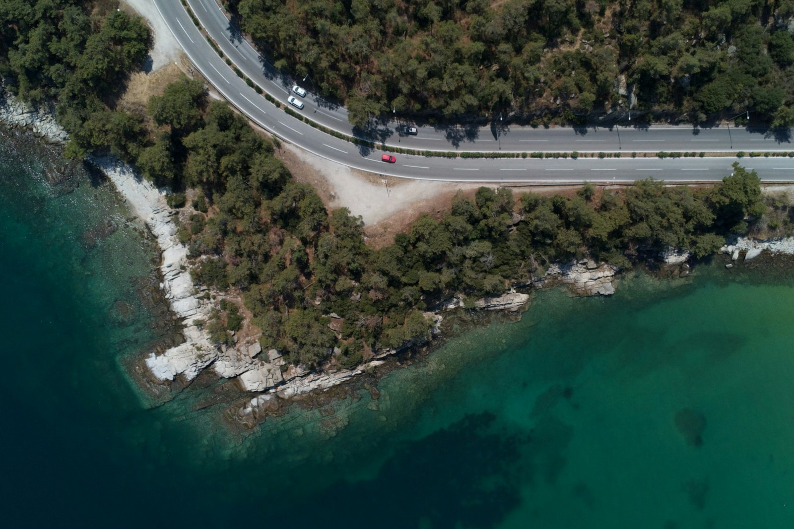 Παραλιακός δρόμος με αυτοκίνητα δίπλα σε πευκόδασος και γαλάζια θάλασσα