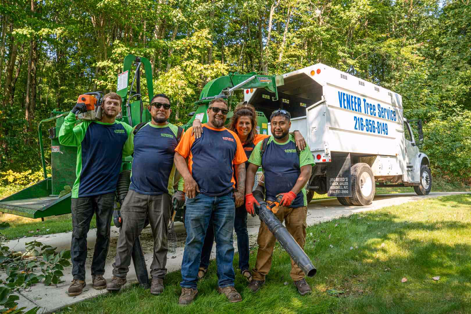 tree removal service cost - Tree removal service cost