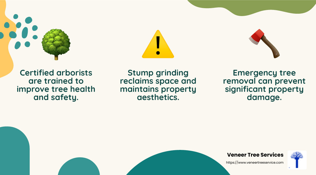 Certified arborists play a crucial role in ensuring tree health and safety. - 24/7 tree service infographic 3_facts_emoji_nature