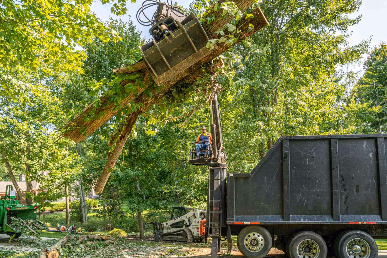 tree removal after storm - tree removal after storm
