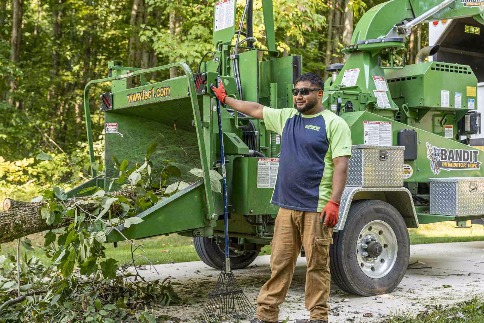 tree service Lorain County Ohio - tree service Lorain County Ohio