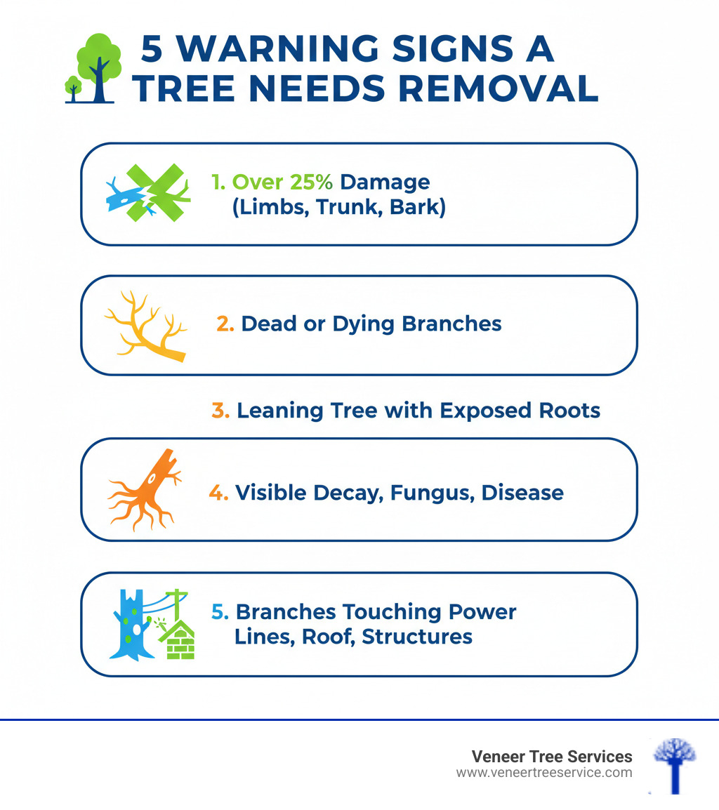 Infographic showing five warning signs a tree needs removal: 1) More than 25% damage to limbs, trunk, or bark, 2) Dead or dying branches throughout canopy, 3) Tree leaning with exposed root system, 4) Visible decay, fungus, or disease, 5) Branches touching power lines, roof, or structures - tree removal gates mills infographic 