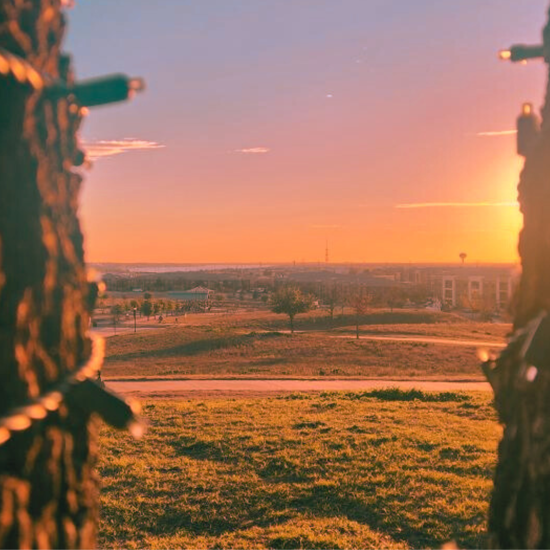A sunset view framed between two trees, showing golden-orange sky over a sparse landscape with scattered buildings in the distance.