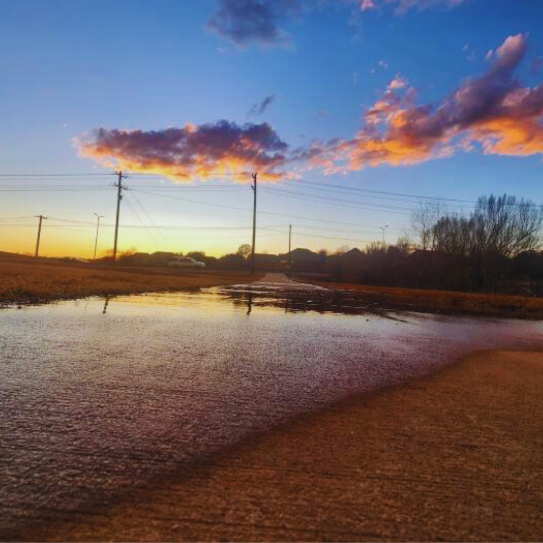 A puddle reflecting orange and pink sunset clouds with bare trees silhouetted along the horizon and power lines crossing the sky.