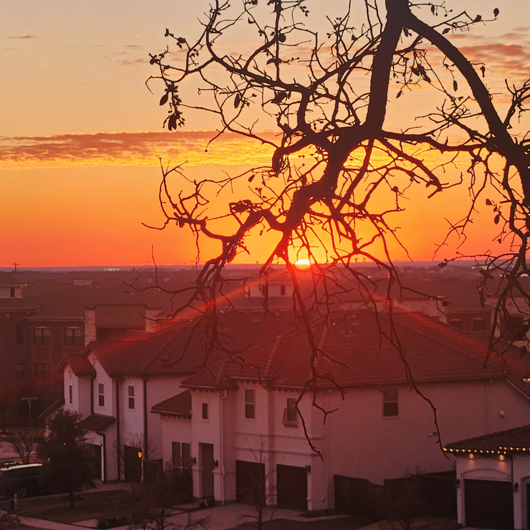 Bare, gnarled tree branches silhouetted against a dramatic orange and red sunset sky above suburban rooftops.
