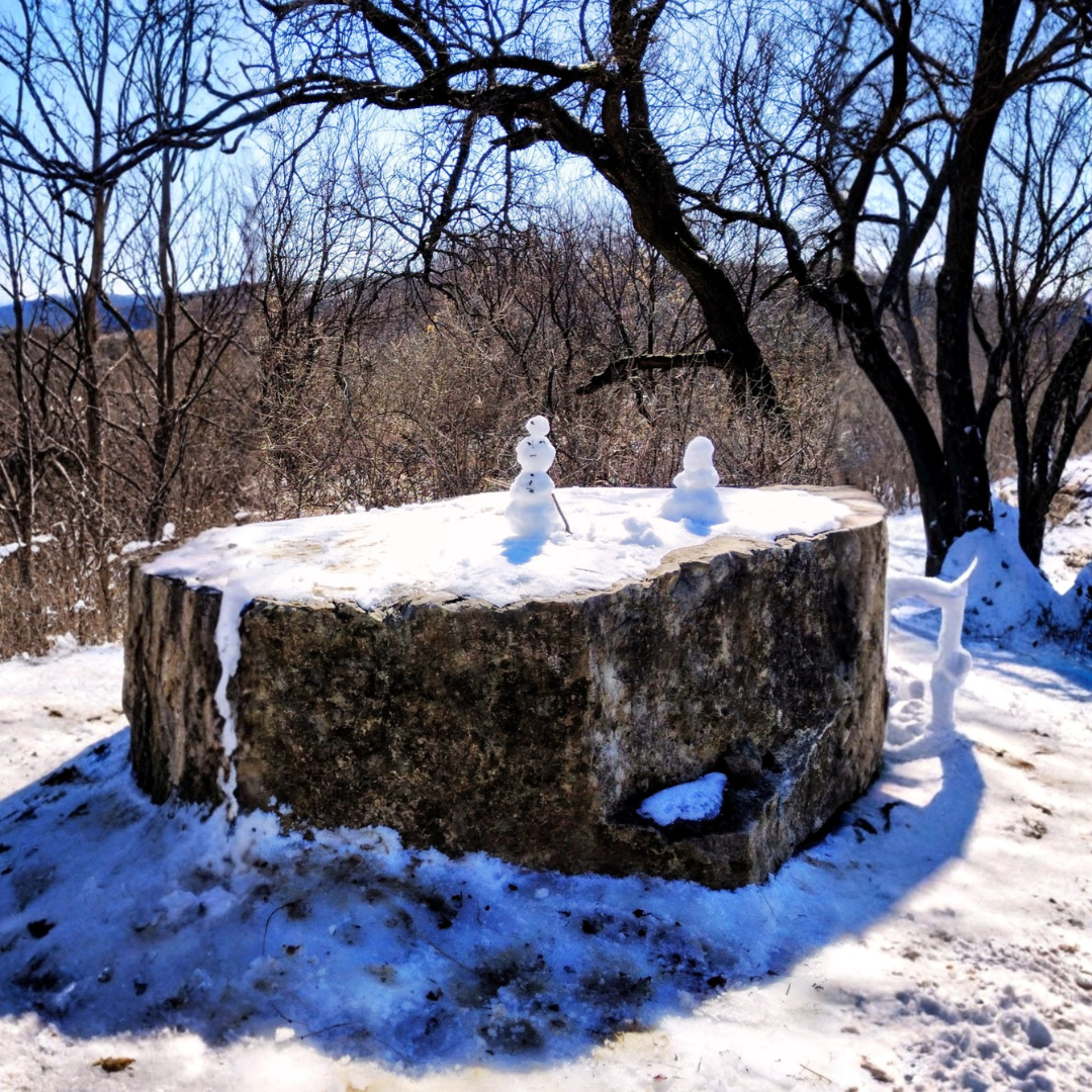 Two tiny snowmen sitting on top of a large weathered tree stump in a snowy winter landscape with bare trees in the background.
