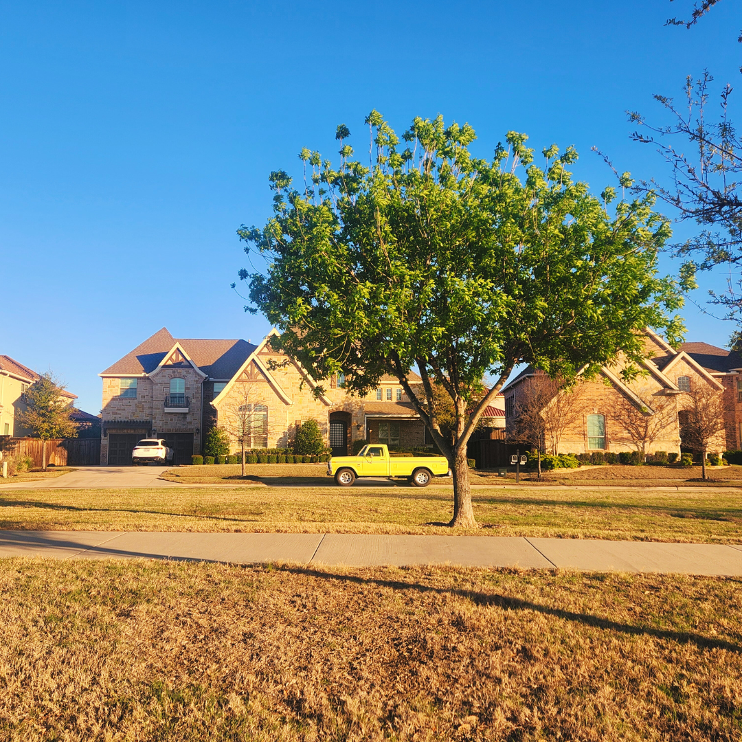 A suburban street with brick houses and a bright yellow pickup truck parked in front, featuring a large green tree in the center foreground.
