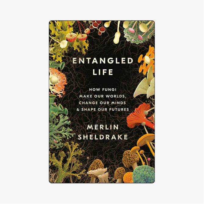 Book cover featuring a collage of vibrant mushrooms and fungi in orange, yellow, and pink against a black background overlaid with white mycelial network patterns.