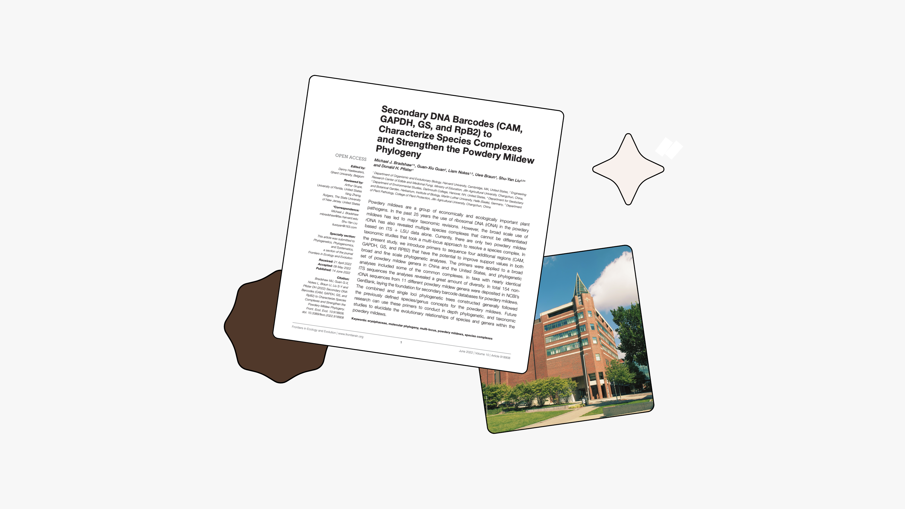 Overlapping photo cards showing an academic research paper titled "Secondary DNA Barcodes (CAM, GAPDH, GS, and RpB2) to Characterize Species Complexes and Strengthen the Powdery Mildew Phylogeny" and a modern red-brick Brown University building surrounded by green trees, on a light gray background with a beige star decorative shape.
