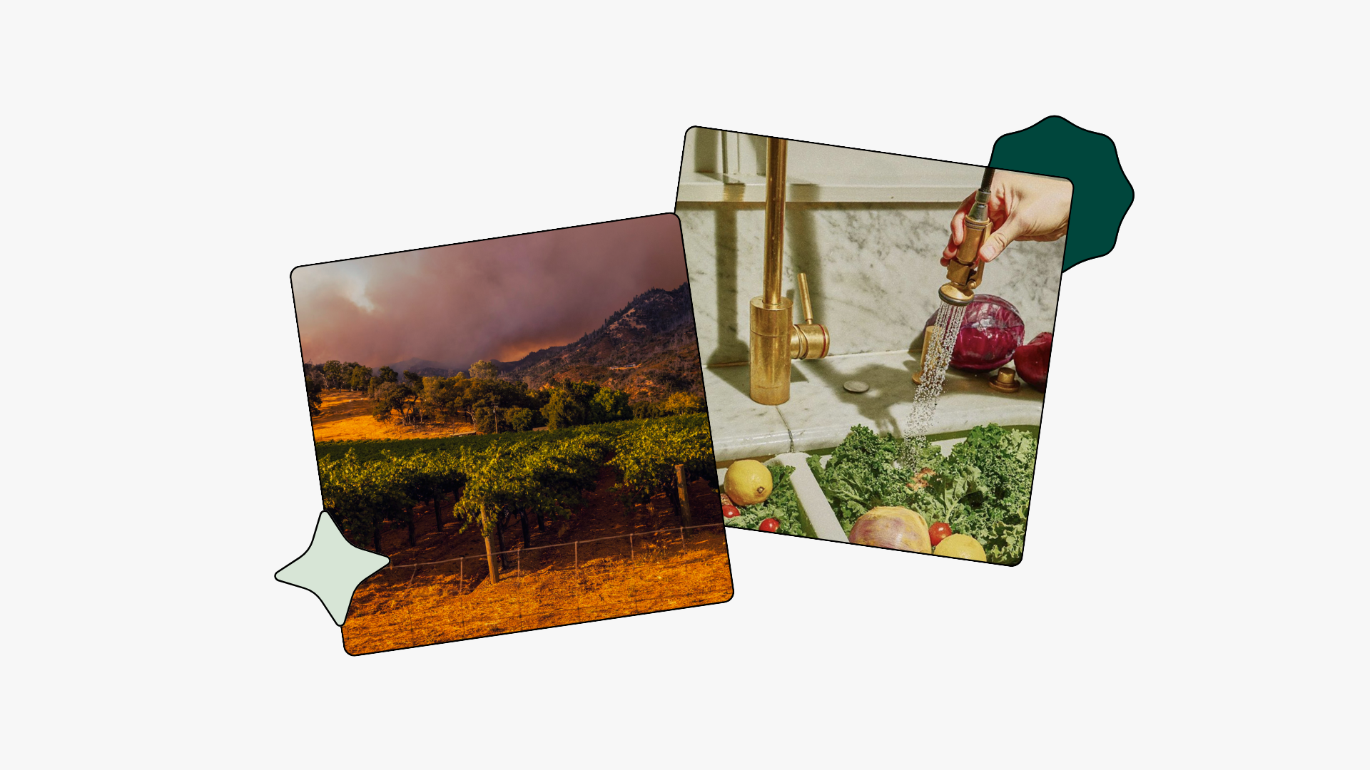 Overlapping photo cards displaying a Napa Valley vineyard under an orange-hued smoke-filled sky with wildfire burning on surrounding hillsides and a hand rinsing fresh vegetables including kale, tomatoes, and red cabbage under a brass faucet on a marble sink on a light gray background with mint  and dark green decorative shapes.