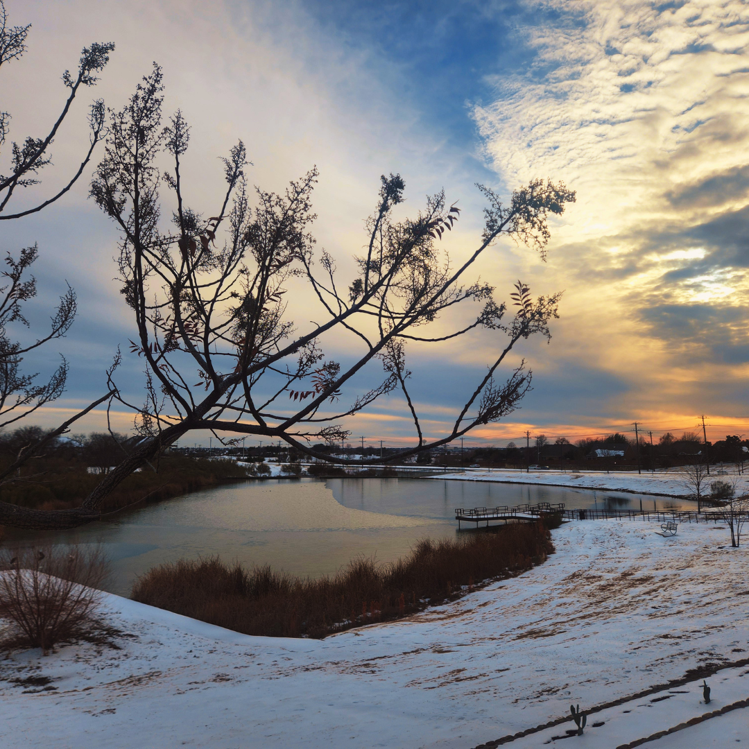 A bare, dramatically leaning tree silhouetted against a dual-toned winter sky of blue and gold, overlooking a snow-ringed frozen pond at dusk.