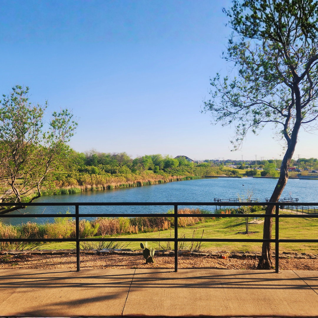 A black metal railing frames a calm spring lake lined with golden reeds and lush green trees under a clear blue Texas sky.