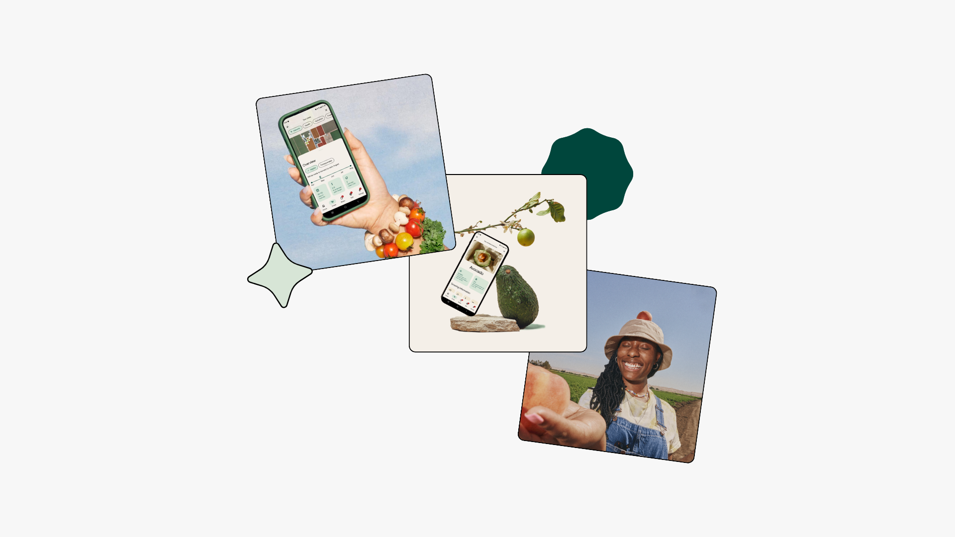 Overlapping photo cards displaying a hand holding a green smartphone with a crop analytics dashboard above a pile of fresh vegetables including tomatoes and mushrooms against a blue sky, a smartphone showing an avocado plant disease detection screen beside a whole avocado on a stone pedestal against a cream background, and a smiling farmer in denim overalls and a bucket hat standing in a green agricultural field, arranged on a light gray background with a dark teal organic blob shape and a mint green star-shaped accent.