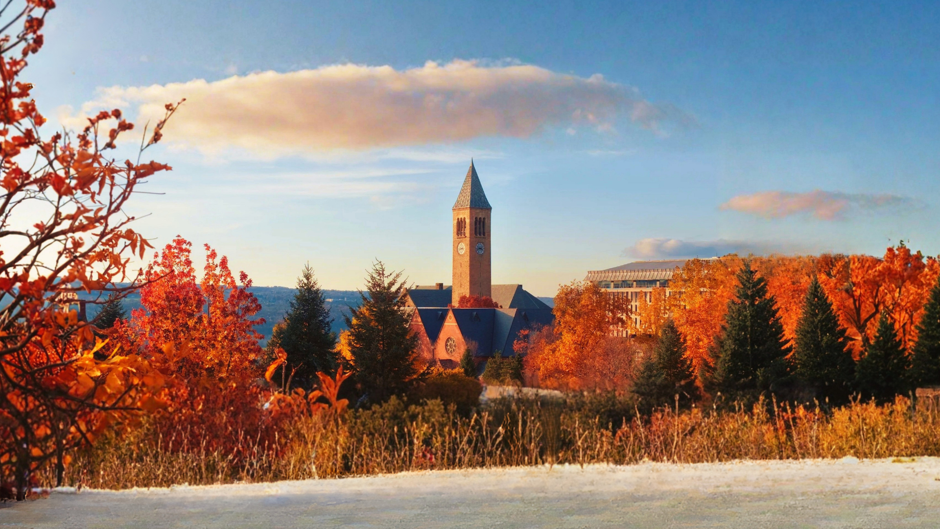 Cornell's McGraw Tower rises above a sea of peak autumn foliage in deep orange and red, framed by golden meadow grasses and white snow in the foreground alongside clouds drifting across the blue Ithaca sky.