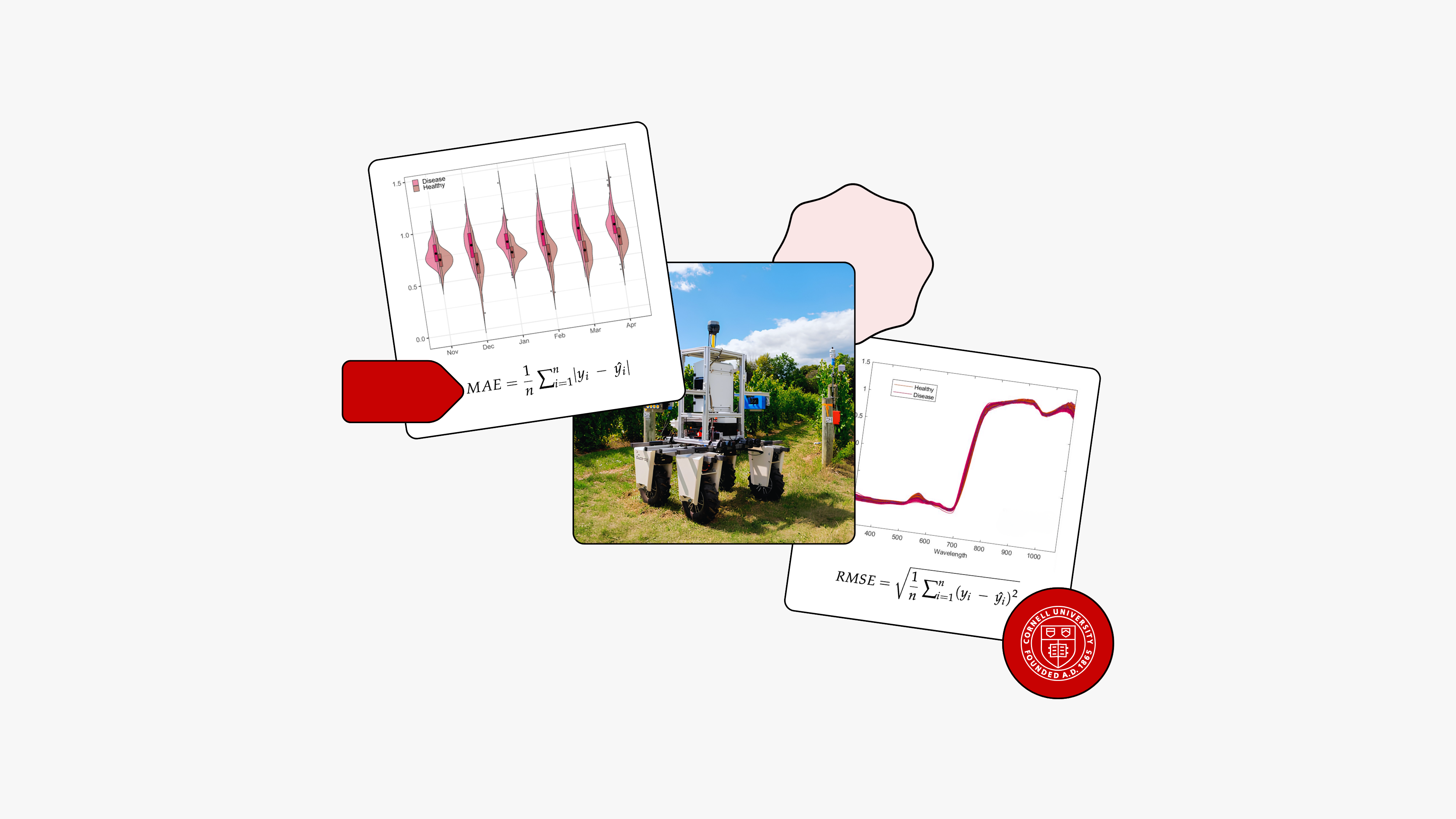 Overlapping photo cards showing a bar chart and violin plot comparing microplastic abundance distributions across ocean regions, a global microplastic concentration map with color-coded density gradients, and a stochastic neural network convergence curve alongside a hyperspectral heatmap, on a light gray background with a Cornell University seal.