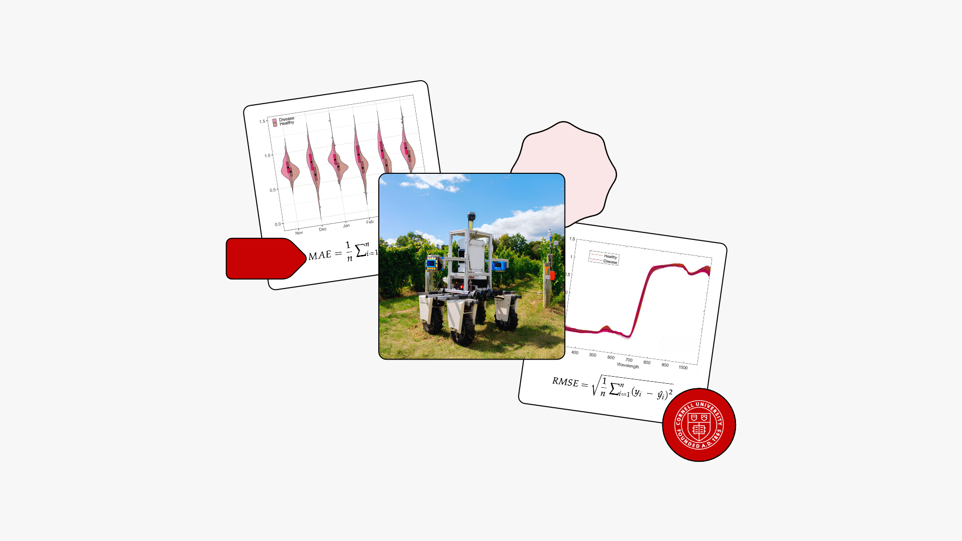 Overlapping photo cards showing a bar chart and violin plot comparing microplastic abundance distributions across ocean regions, a global microplastic concentration map with color-coded density gradients, and a stochastic neural network convergence curve alongside a hyperspectral heatmap, on a light gray background with a Cornell University seal.