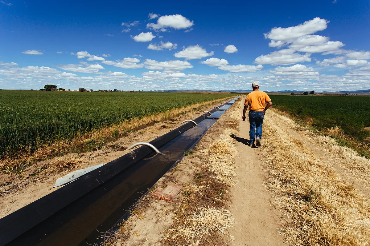 Irrigation in a camp