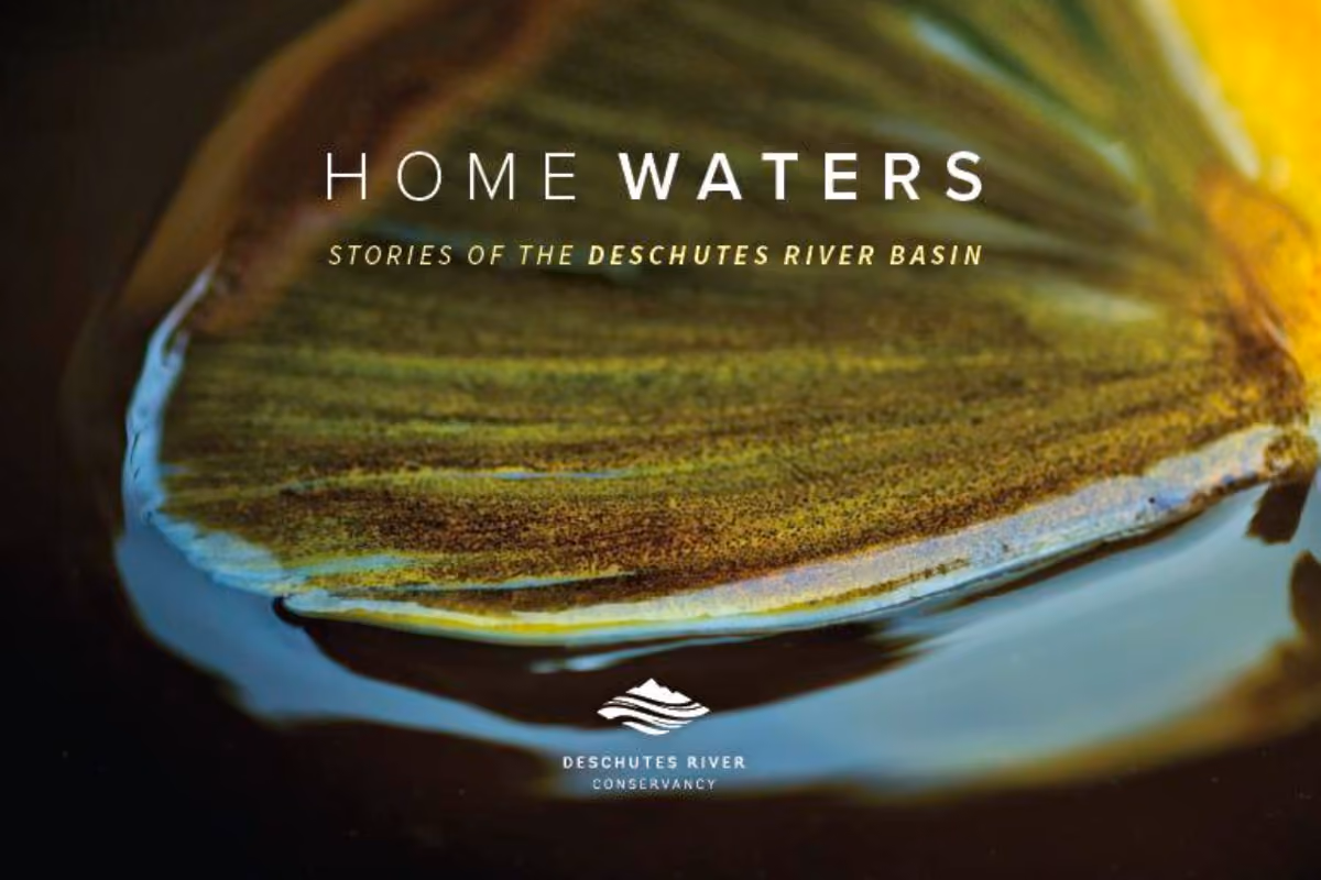Close-up of a green and yellow leaf resting on dark water with text about Deschutes River Basin.
