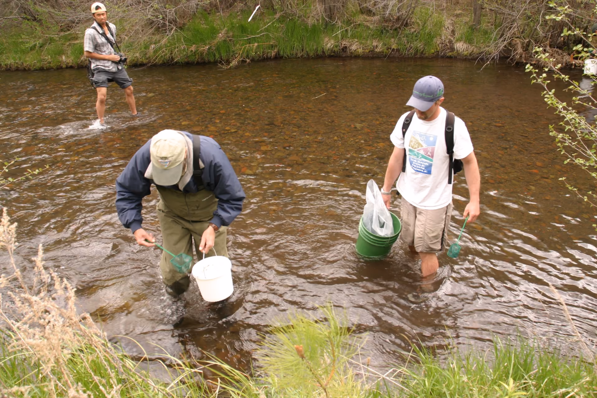 Three men standing in a shallow stream, two holding nets and buckets, one with a camera.