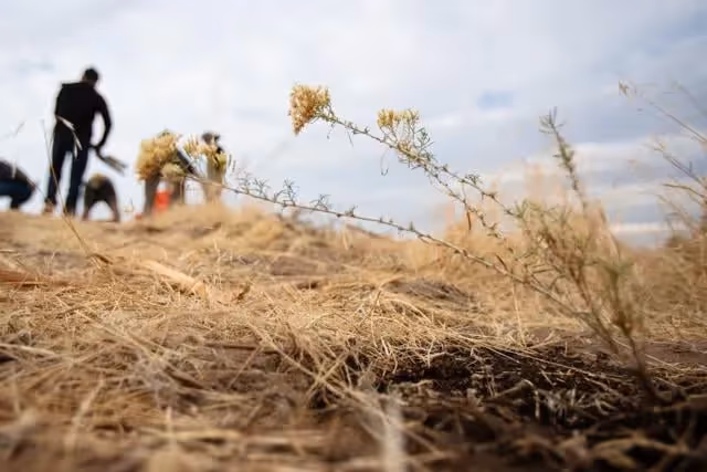 Bend Bulletin - Ochoco Preserve restoration turns farmland to floodplain near Prineville