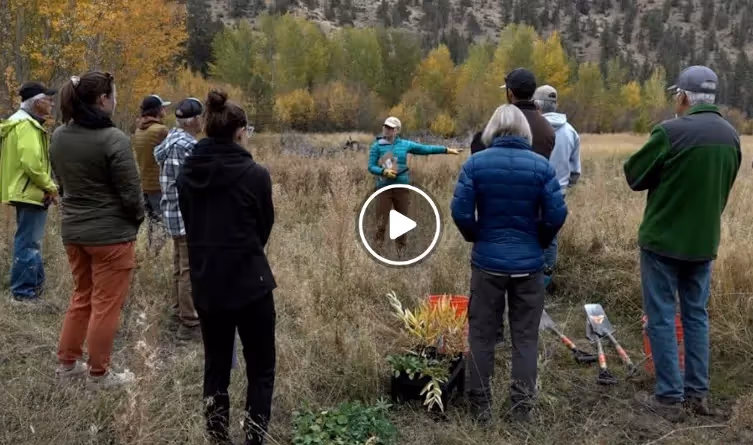 Bend Bulletin - Years-long restoration project brings fish and wildlife back to Whychus Creek near Sisters