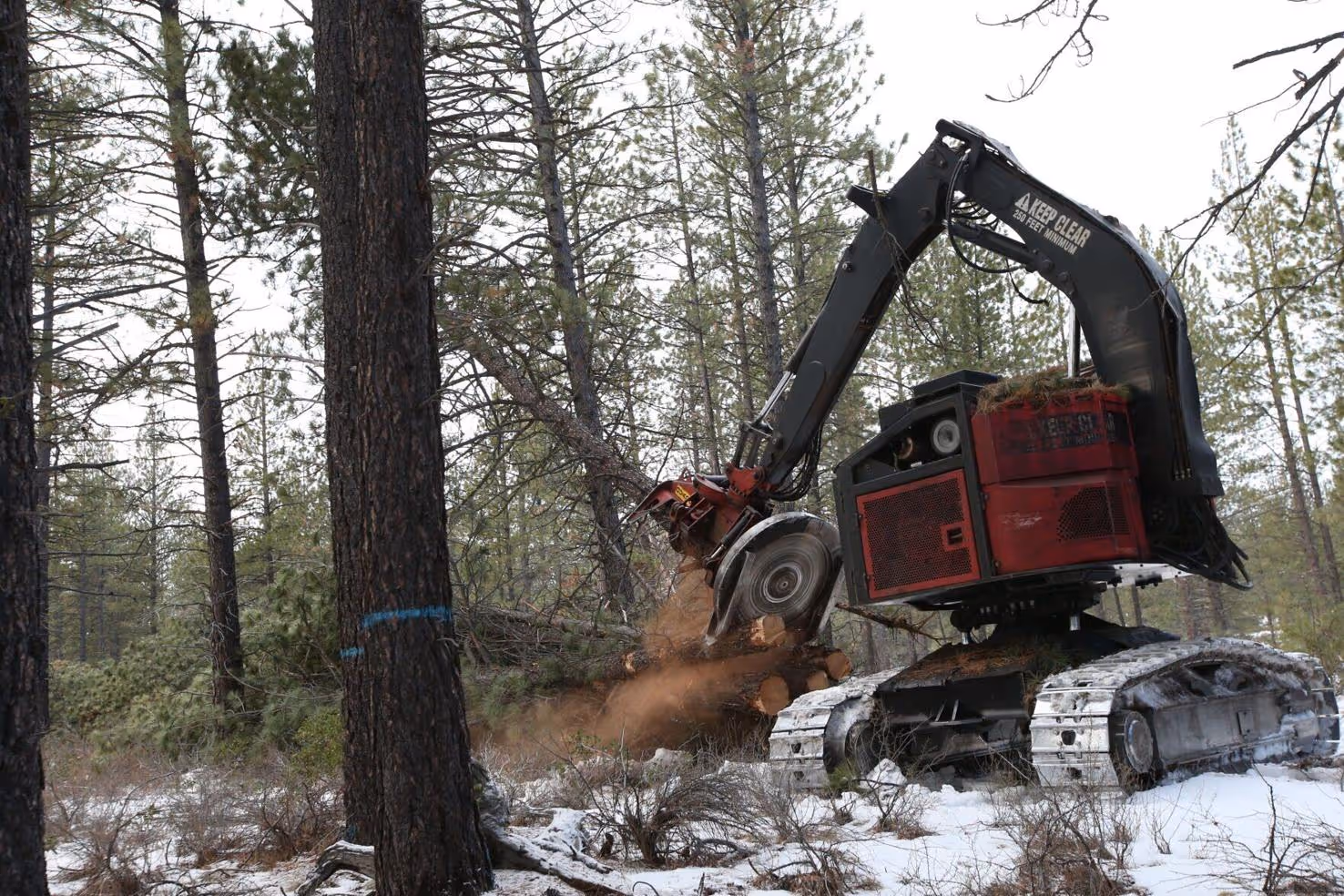Capitol Press - How Trump’s return may impact public, private land management
