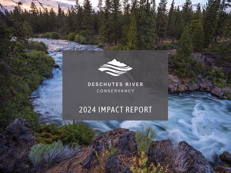 2024 Impact Report