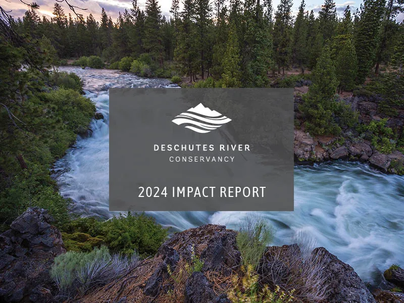 2024 Impact Report