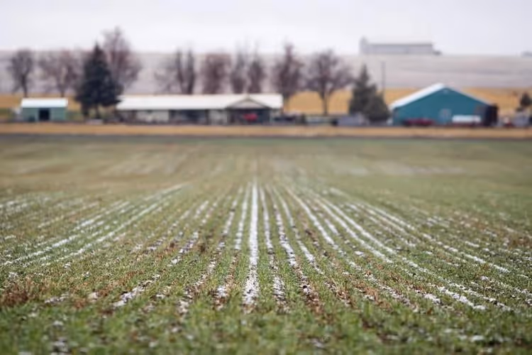 Bend Bulletin: Drought-weary farmers optimistic as snowpack totals soar