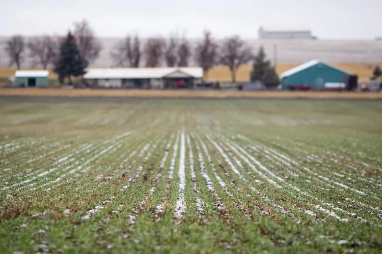 Bend Bulletin: Drought-weary farmers optimistic as snowpack totals soar