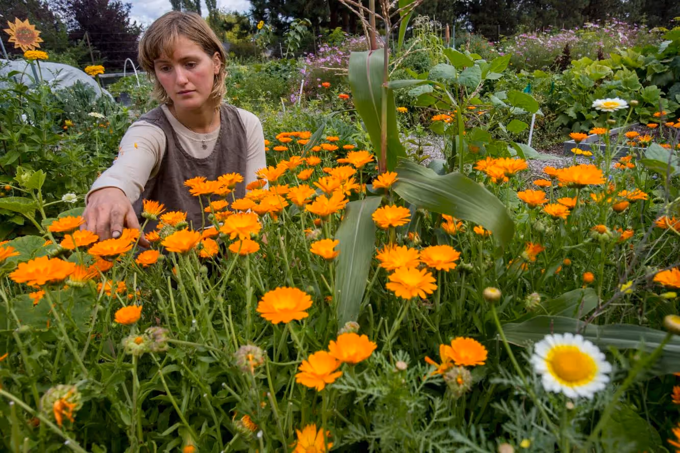 Bend Bulletin: Federal grant coming to Central Oregon for soil and water conservation
