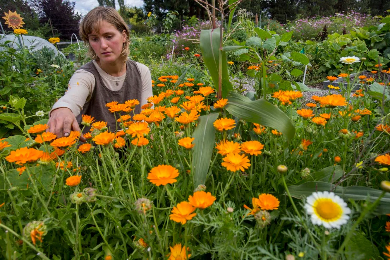 Bend Bulletin: Federal grant coming to Central Oregon for soil and water conservation