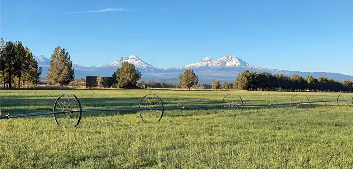 Cascade Business News: New Solution to Better Allocate Water