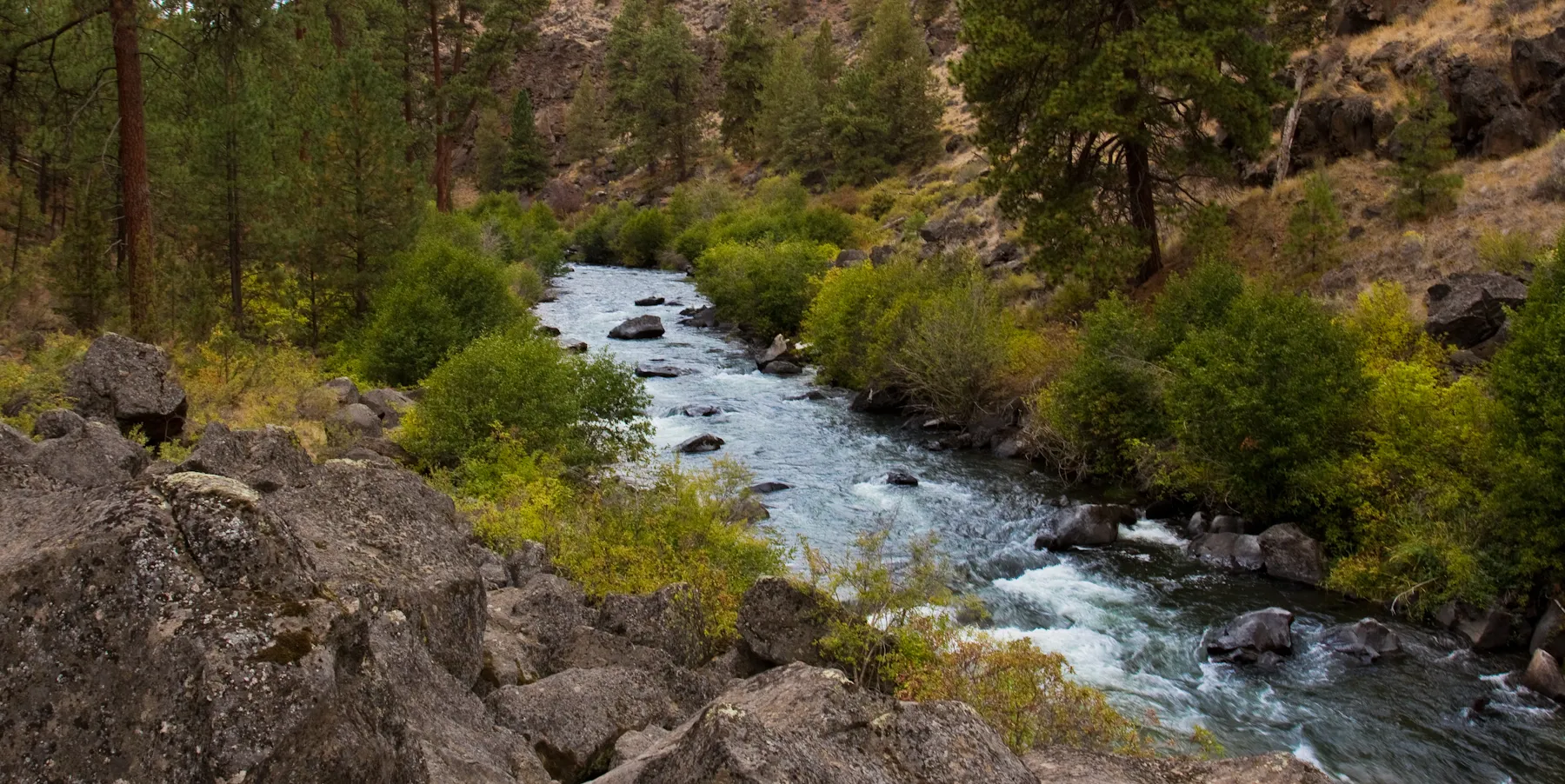 Instream Water Rights Leasing