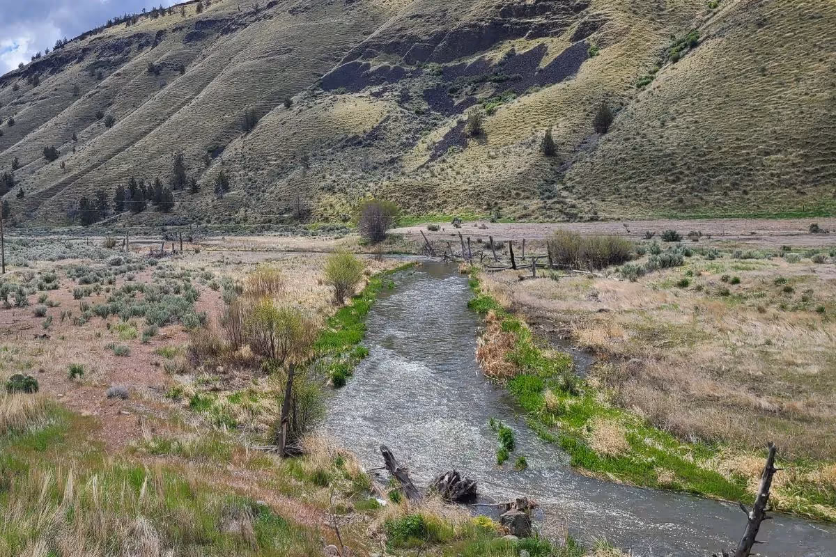 Trout Creek: Supporting Steelhead in the Lower Deschutes