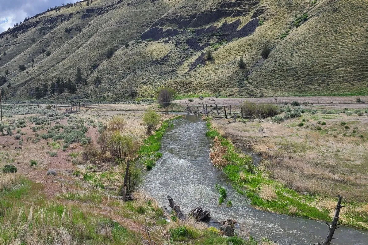 Trout Creek: Supporting Steelhead in the Lower Deschutes