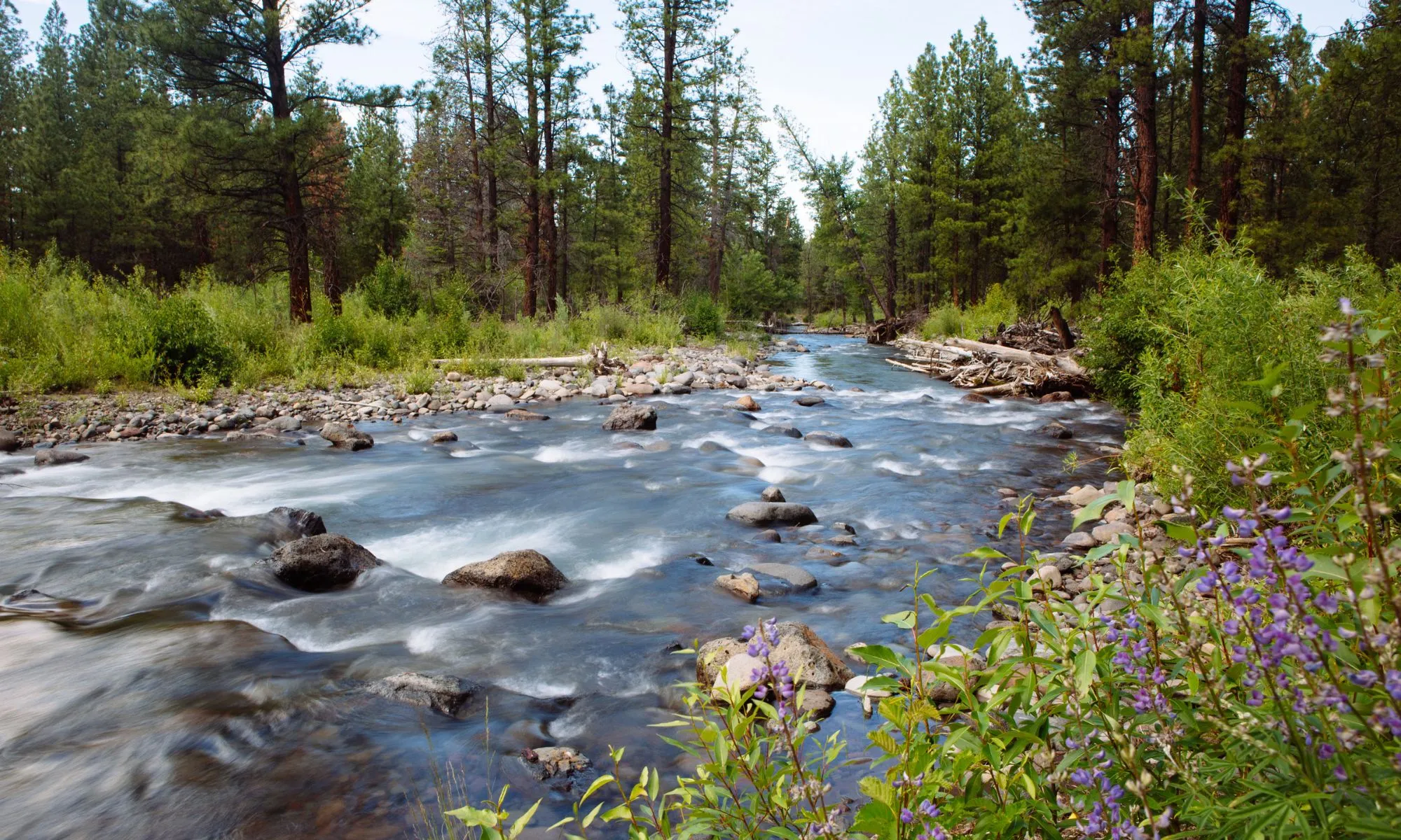 Three Sisters Irrigation District Completes Final Piping Project— A Major Milestone in the Ongoing Restoration of Whychus Creek