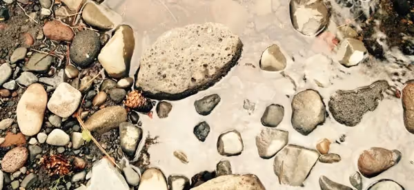 Full Size Render Crop