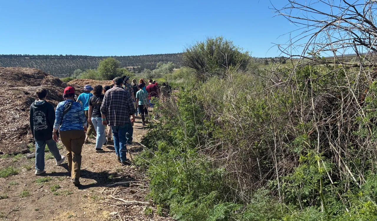 Volunteers sought for native plant restoration project on Crooked River