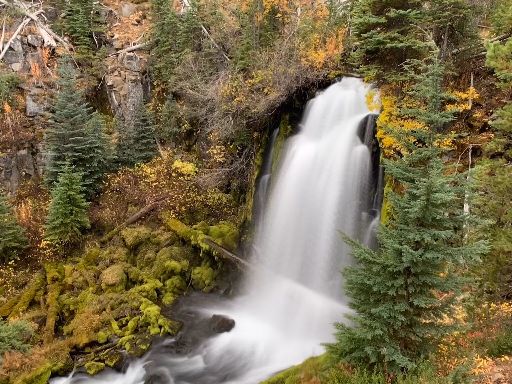 Trump officials plan to remove protections on 2 million acres of national forests in Oregon