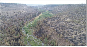 Whychus Creek restoration and wildfire resilience