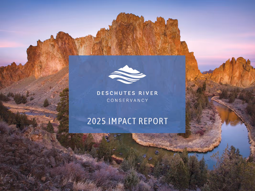 2025 Impact Report