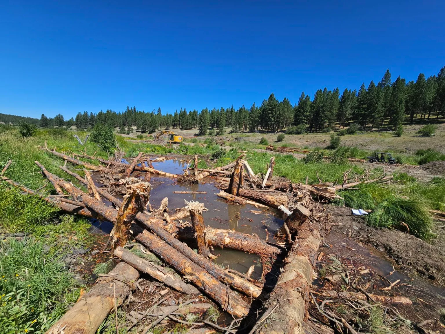 Tribes turn to beaver-inspired dams to revive Central Oregon streams