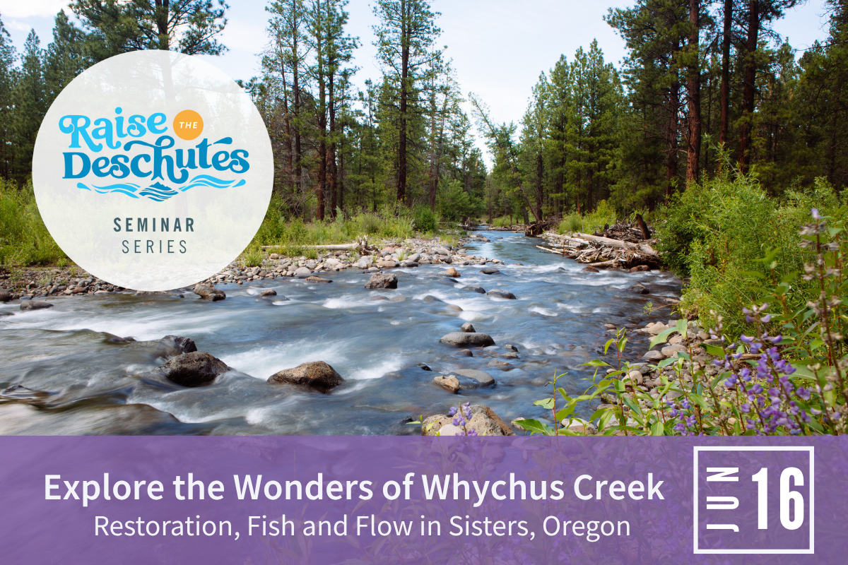 Explore the Wonders of Whychus Creek