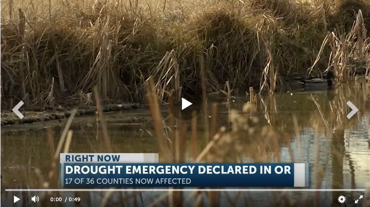 Drought emergency declared in Oregon counties, 17 of 36 now affected