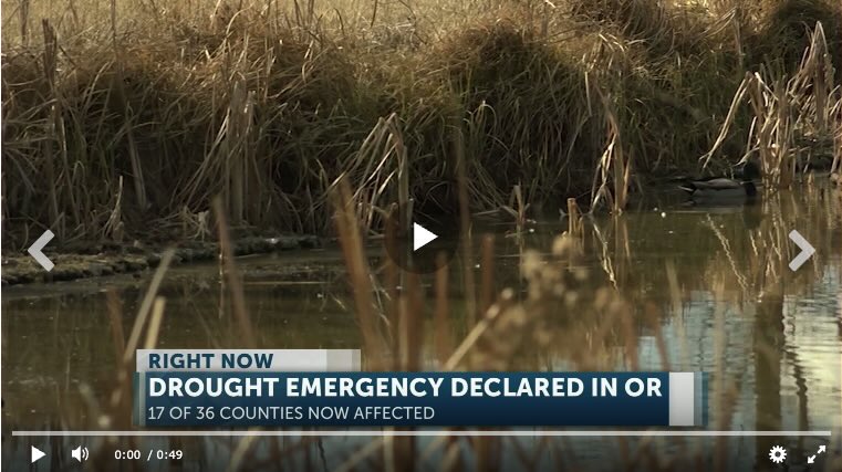 Drought emergency declared in Oregon counties, 17 of 36 now affected