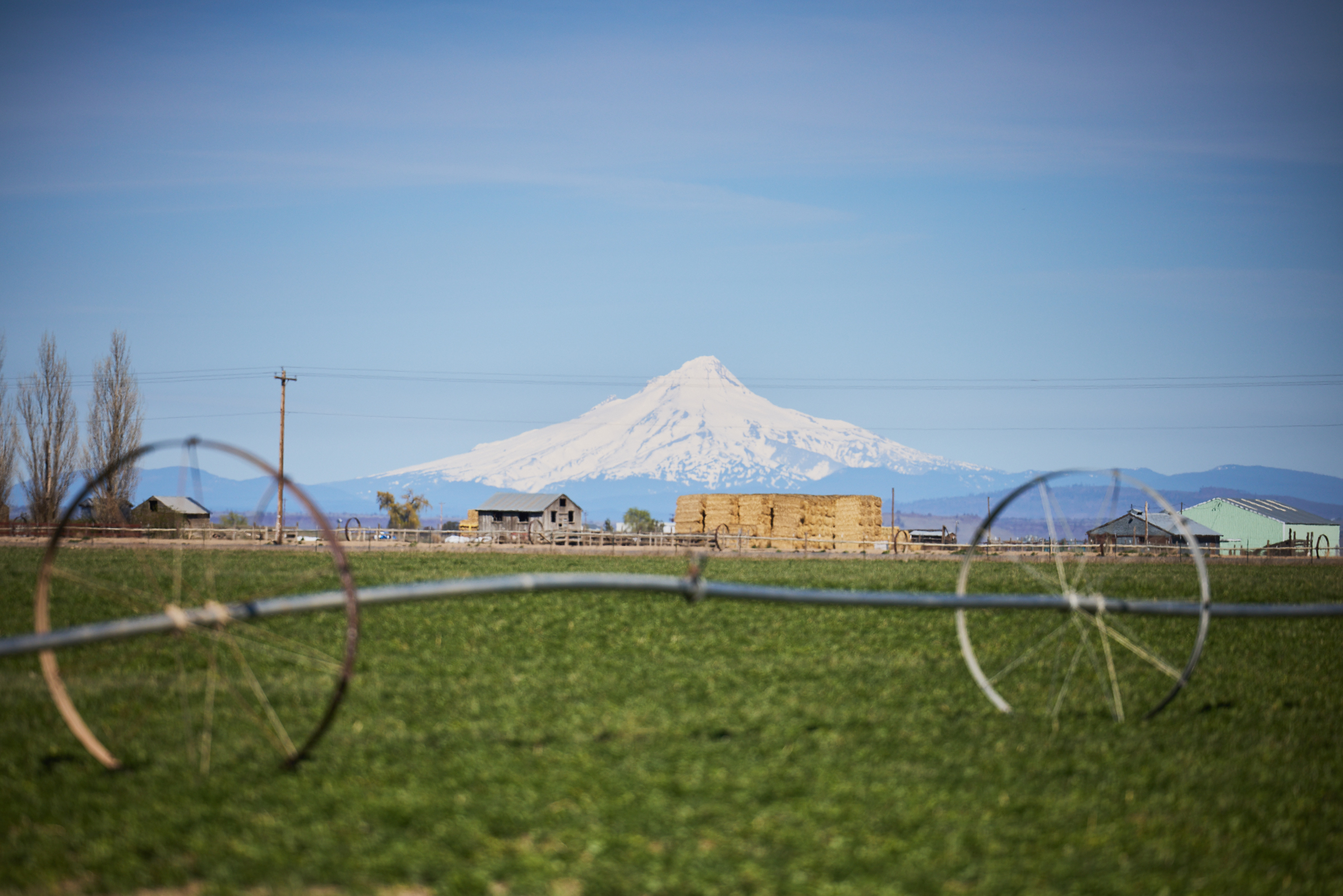 A landscape of green farmland, with water irrigation pipes across it, and in the distance a snow-capped mountain.