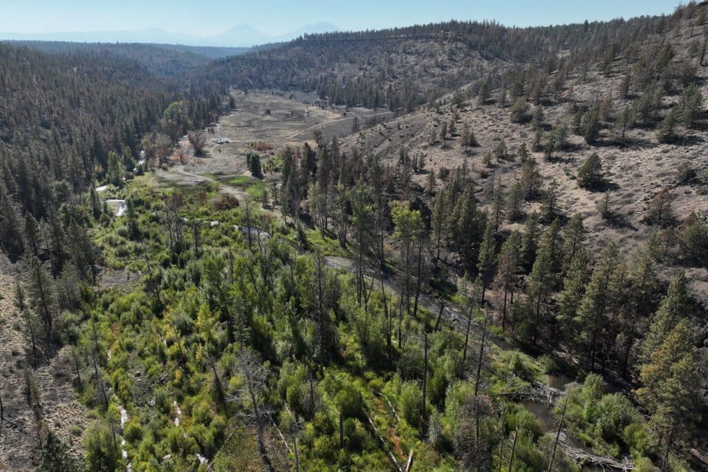 Magic Canoe: How Salmon Restoration Also Builds Wildfire Resilience