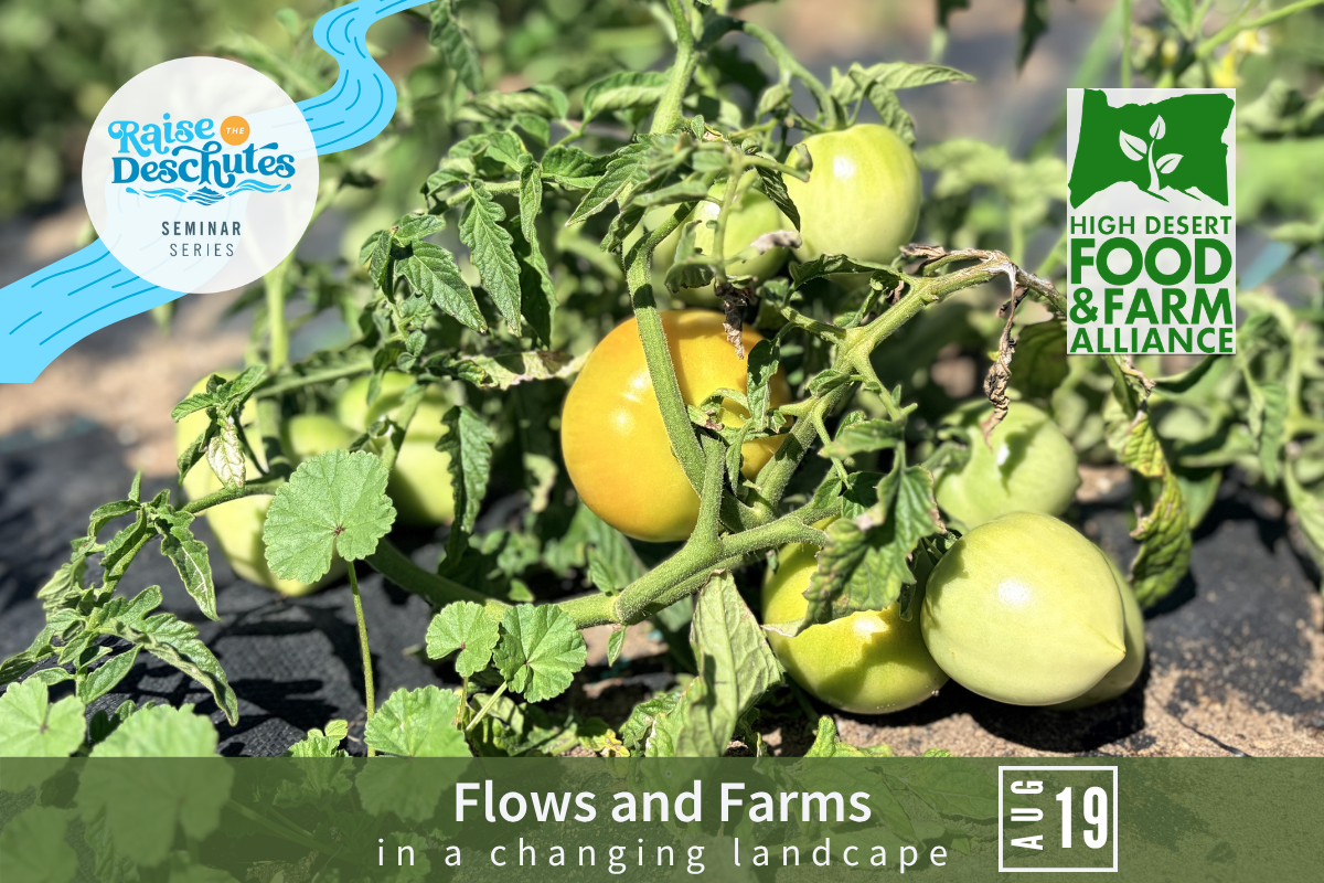 Flows and Farms in a Changing Landcape