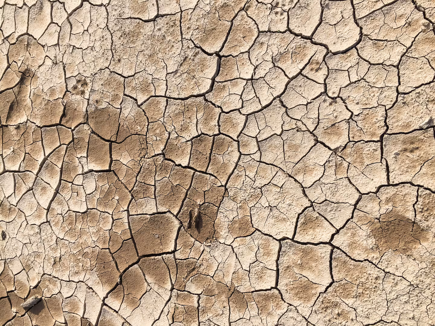 OPB: Oregon drought grows, reaching most widespread level in 4 years